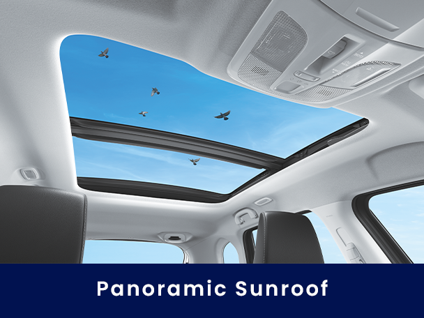Panoramic Sunroof